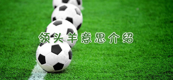 领头羊是什么意思_足球比赛领头羊意思介绍
