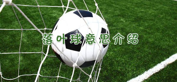 落叶球​是什么意思_足球比赛落叶球意思介绍