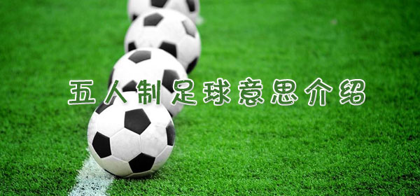 五人制足球是什么意思_五人制足球意思介绍